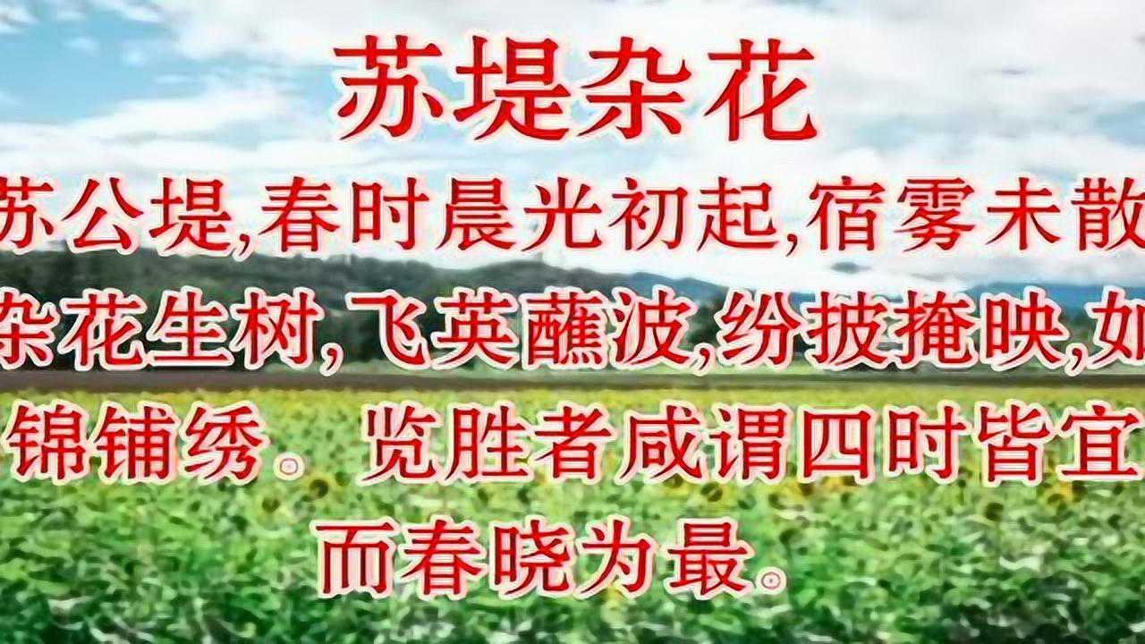 乐学小古文《苏堤杂花》_腾讯视频