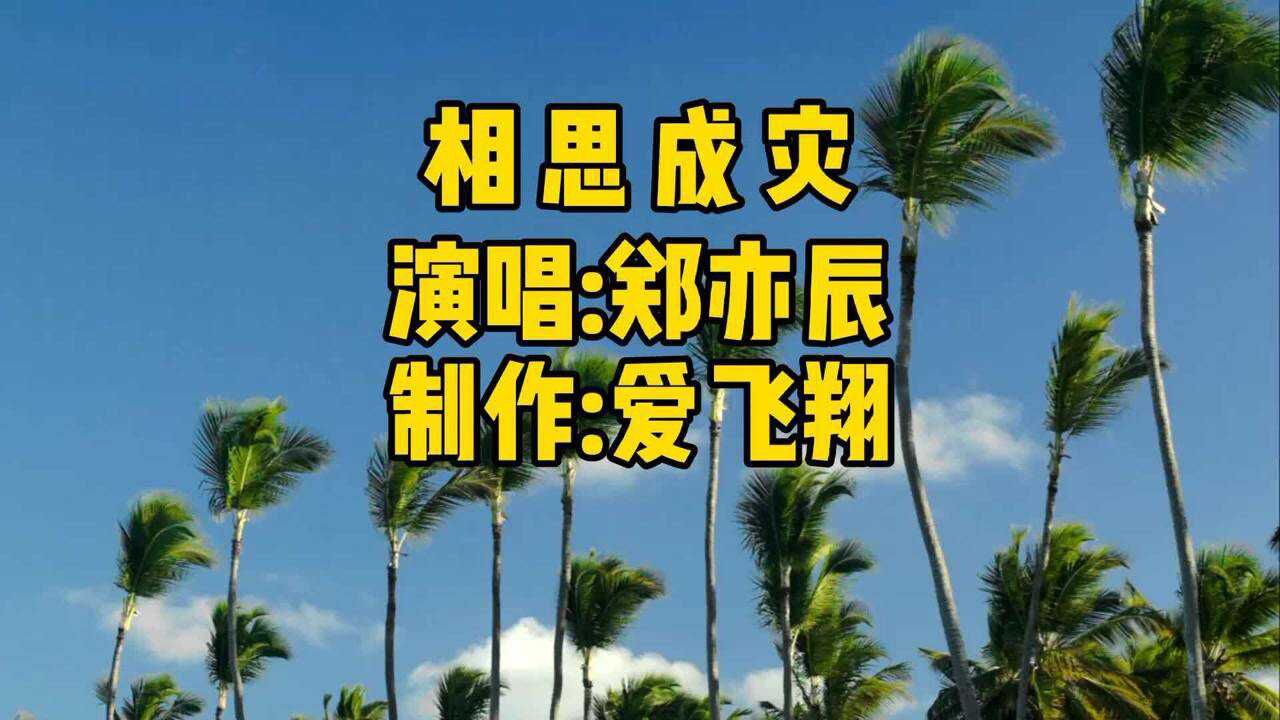 郑亦辰一曲伤感情歌《相思成灾》一寸相思一寸发白,相思成灾