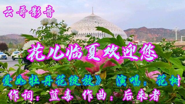 花儿临夏欢迎您