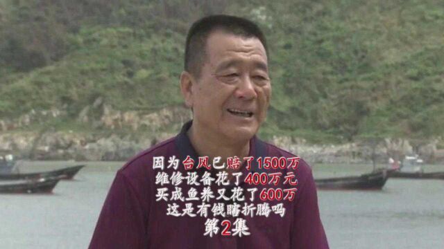 因台风已赔1500万维修设备花400万买成鱼养花600万高价卖鱼赚大钱