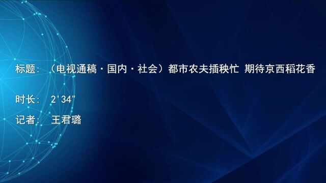 (电视通稿ⷥ›𝥆…ⷧ侤𜚩都市农夫插秧忙 期待京西稻花香