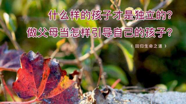 一个孩子的心能独立,才是真正的独立.