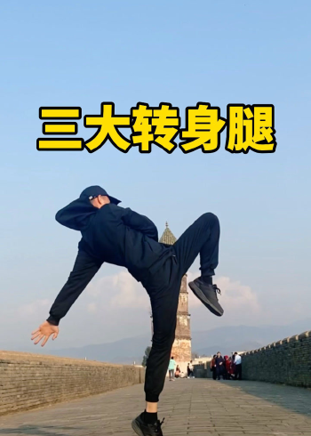 三大转身踢教学