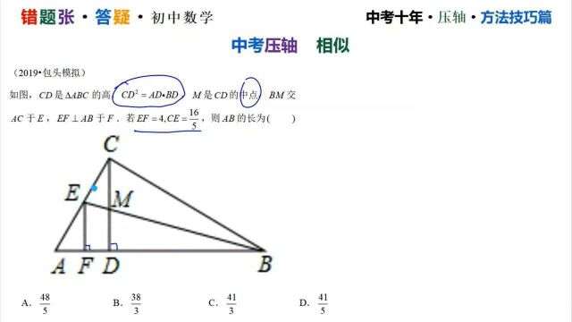 中考数学三轮复习【相似的定理】中点分比 平行 相似模型0