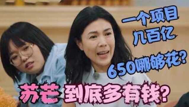 苏芒有多有钱?直言一天饭钱650元根本不够,随便个项目都上百亿