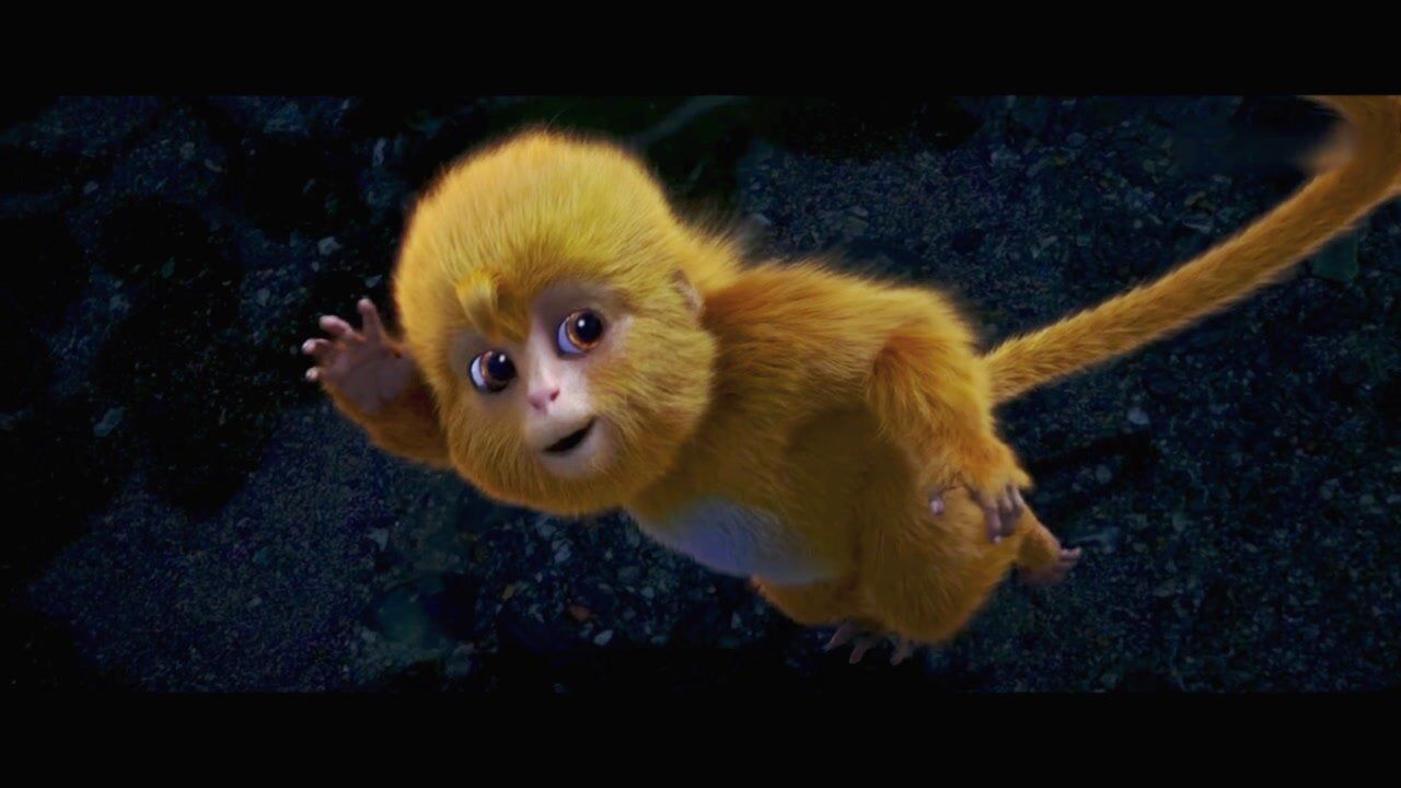 完美世界猴哥朱厌与五色孔雀