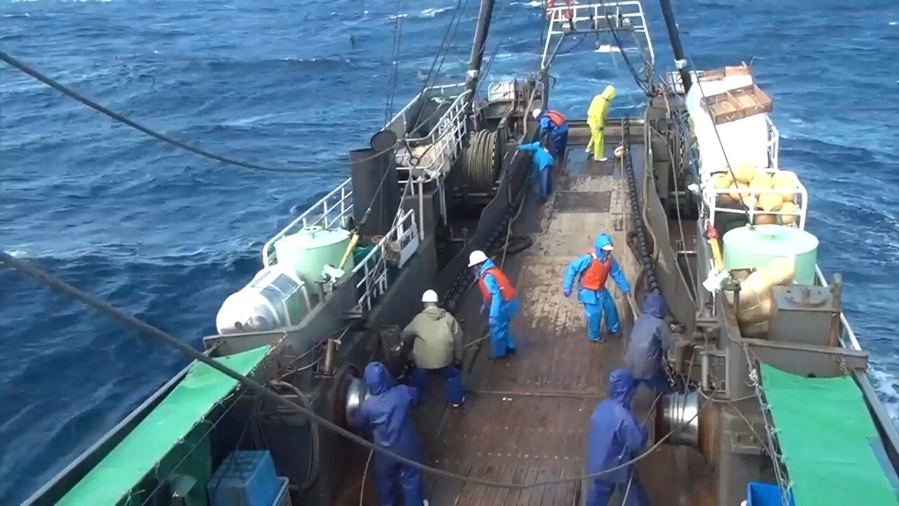 渔船上的工作怎么样?拖网渔船收网过程_高清1080P在线观看平台_腾讯视频