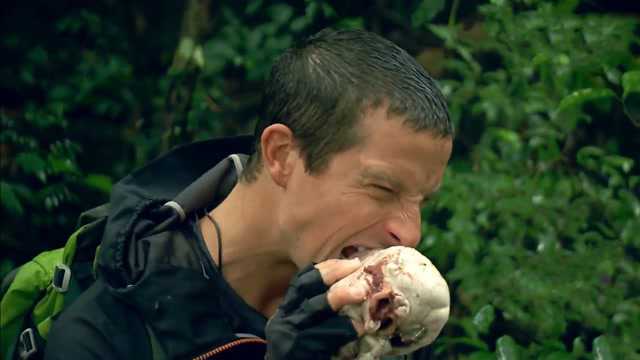 跟着贝尔去冒险:贝爷带众明星吃心脏,咀嚼牛眼一口下去直接爆浆_高清