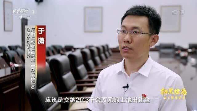 宋氏兄弟盘踞三十年,东港前市委书记刘胜军忏悔:成他家成员了2