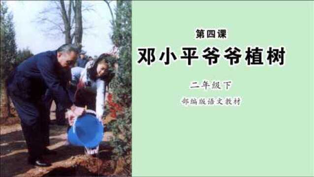 《邓小平爷爷植树》小学语文二年级下册 课文朗读