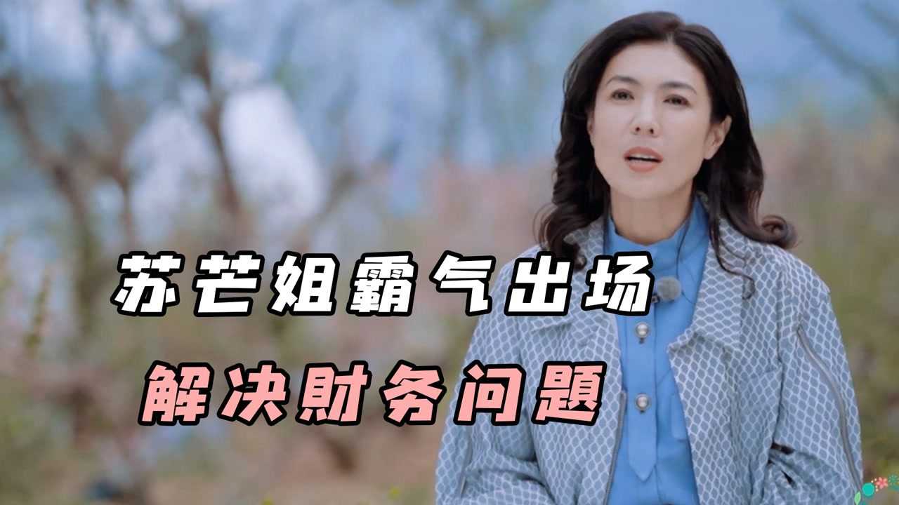 五十公里桃花坞苏芒姐霸气出场解决财务难题不愧是当过总裁的女人