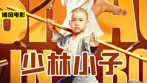 少林小子为弘扬武术文化,被安排去当交换生,结果遇上龙拳小子林秋楠