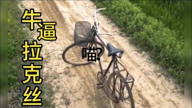 爆笑视频:要不怎么说,还是国产的牛逼.