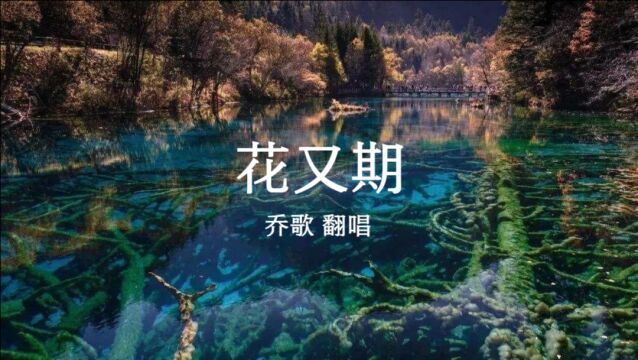 乔歌音乐MV:翻唱歌曲《花又期》