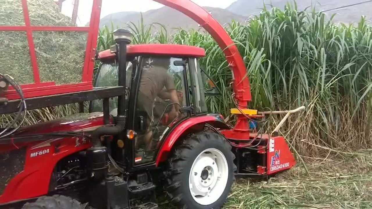 云南保山用户反馈2021年新款1400背负式皇竹草收割机作业效果展示