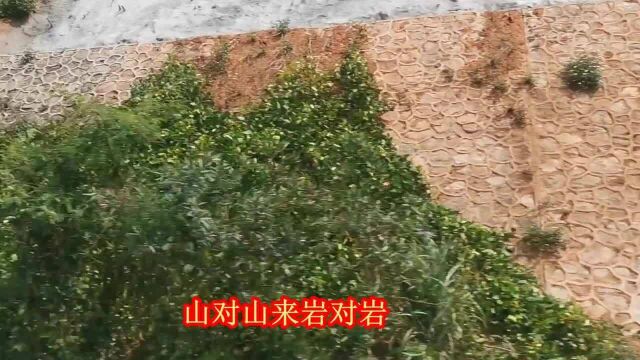 云南山歌对唱《哥唱山歌把妹连》经典山歌,民间小调