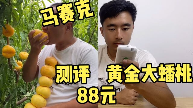 测评黄金大蟠桃,88块3斤,号称我们当地咬一口就好56块?