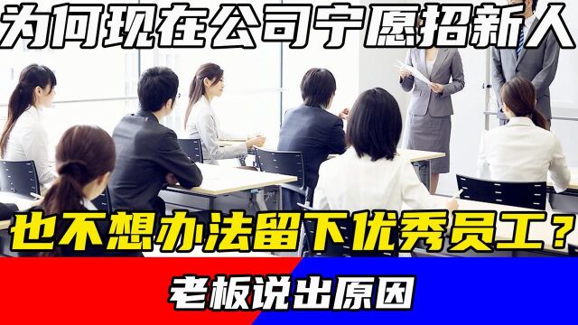 为何现在公司宁愿招新人,也不想办法留下优秀员工?老板说出原因