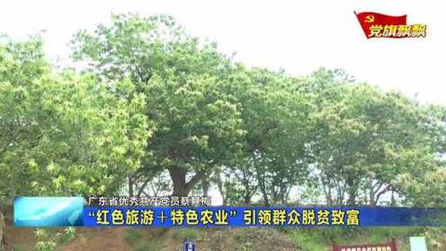 广东省优秀共产党员蔡其梅 “红色旅游+特色农业” 引领群众脱贫致富