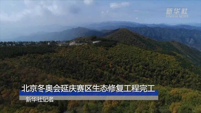 北京冬奥会延庆赛区生态修复工程完工