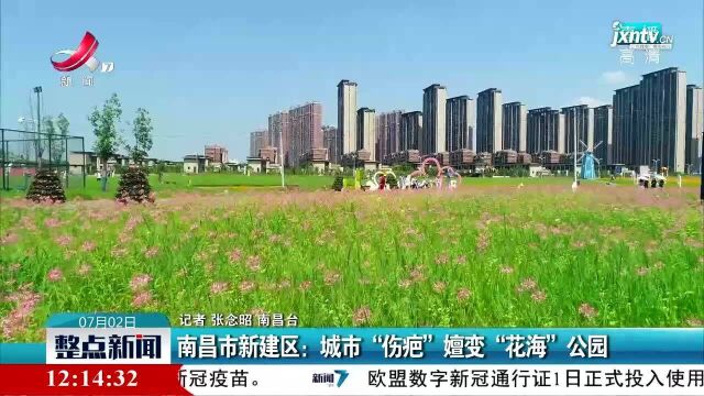 南昌市新建区:城市“伤疤”嬗变“花海”公园