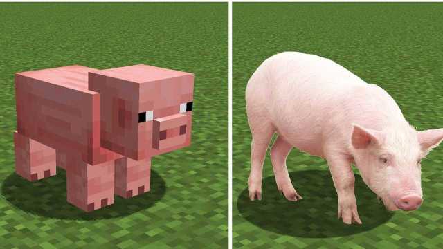 我的世界:mc中的猪vs现实生活中的猪,哪个更好看呢?