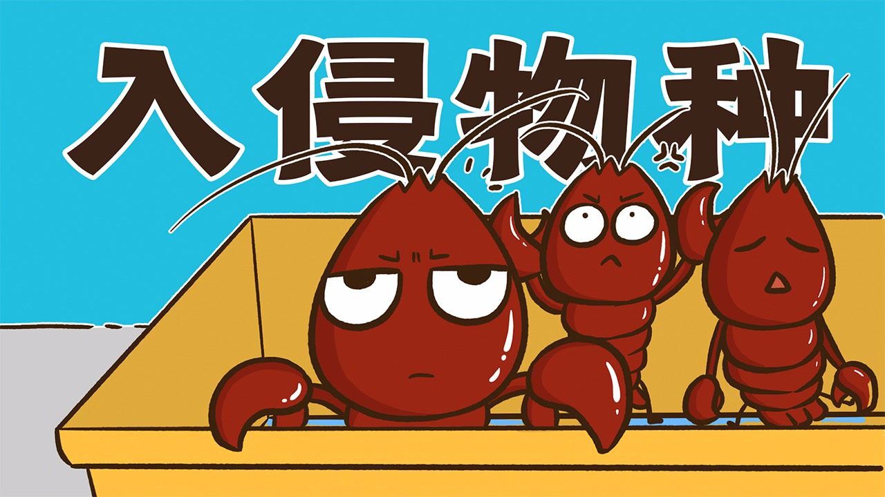 小龙虾、龙虾、蝲蛄有什么区别？_高清1080P在线观看平台_腾讯视频