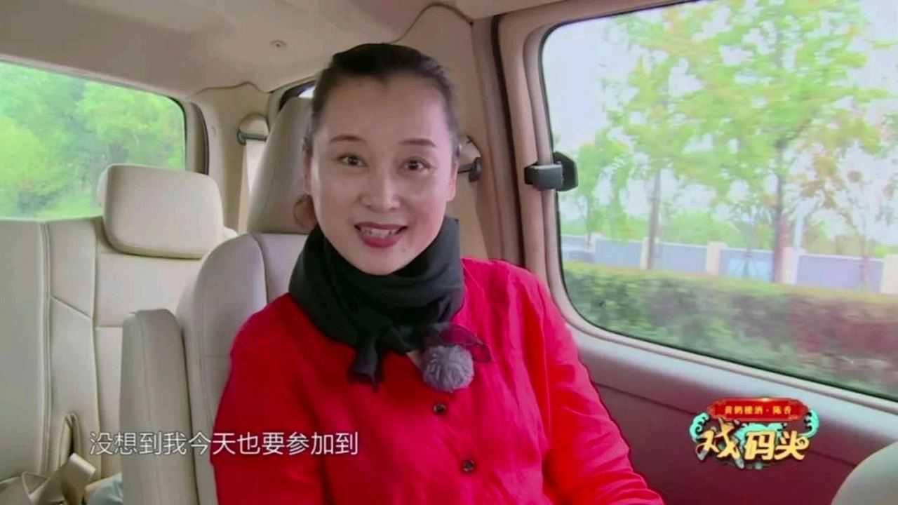 黄梅戏经典《春江月》选段,国家一级演员刘国平演唱01月19日44次播放