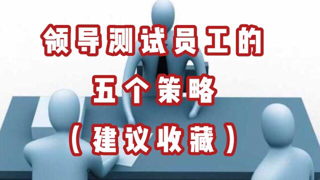 领导测试员工的5个策略,建议收藏