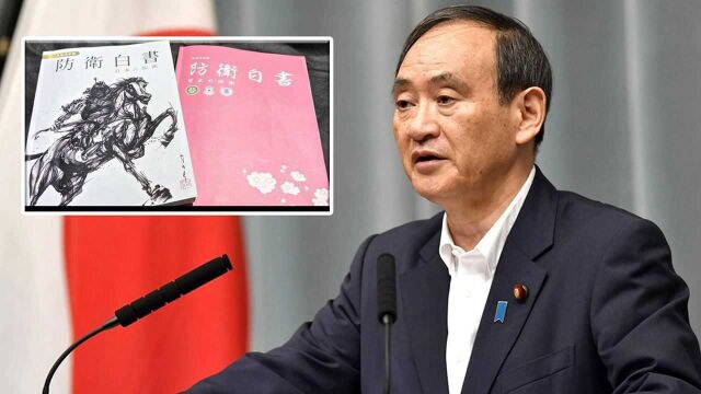 日本对台湾地区指手画脚,欲当美国的“前锋”帮打“台湾牌”?