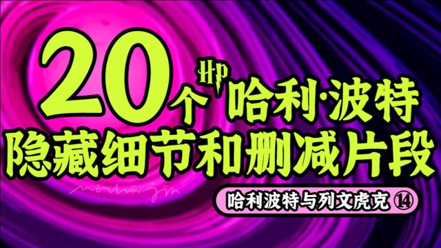 【盘点】20个哈利波特的隐藏细节和删减片段