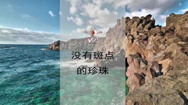 没有斑点的珍珠的故事营销小启示