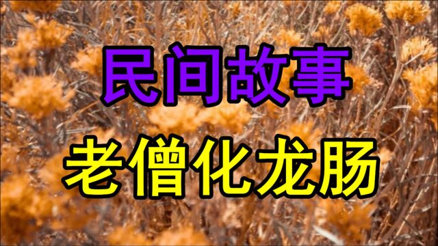 民间故事《老僧化龙肠》乾隆年间北方有个看管人参田的长工叫胡贵