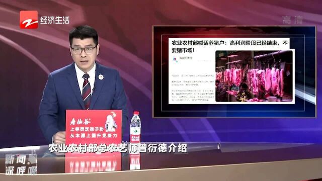 农业农村部喊话养猪户:高利润阶段已经结束 不要赌市场!