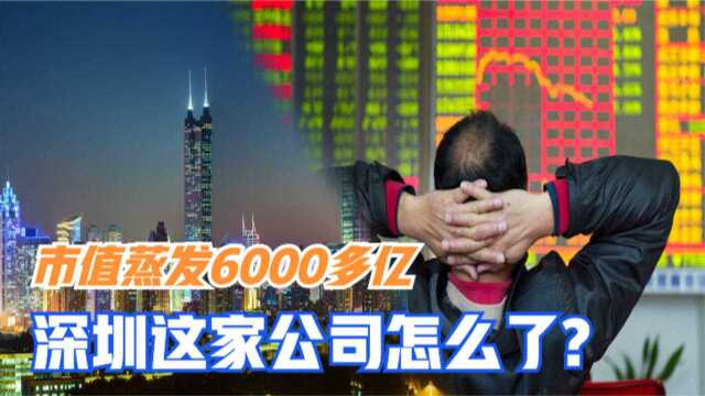 市值蒸发6000多亿,遭大股东减持股份,深圳这家大公司怎么了?