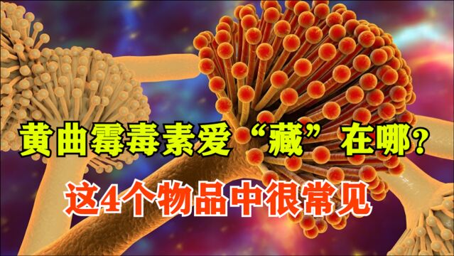 黄曲霉毒素爱“藏”在哪?提醒:这4个物品中很常见,别舍不得扔