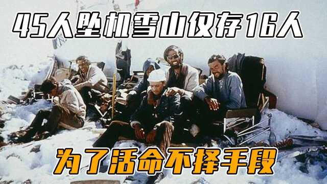 安第斯空难惨状:45人坠机雪山仅存16人,为了活命不择手段,纪录片