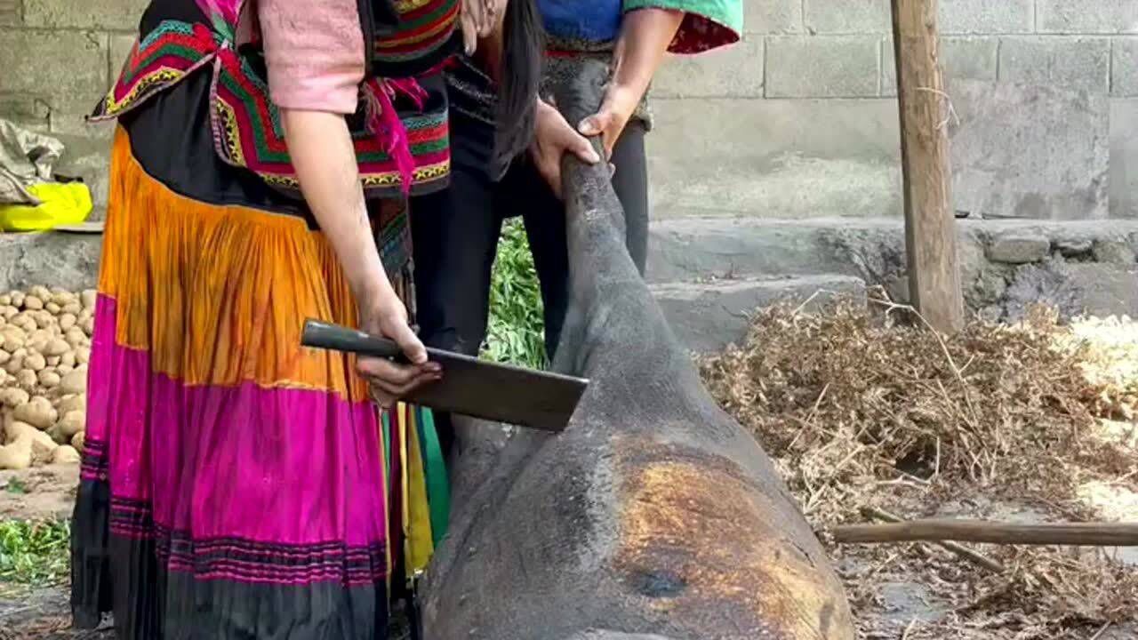 农村两姐妹杀猪,用最原始的方式处理猪毛,虽然麻烦但是很有效!