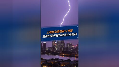 上海气象中心发布雷电黄色预警，雷电天应该注意那些呢？