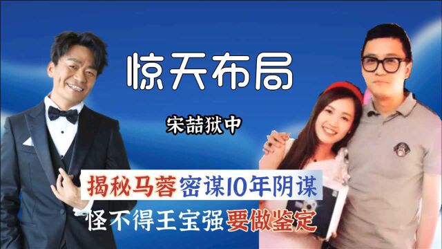 宋喆狱中突然反口?揭露马蓉密谋10年阴谋,怪不得王宝强要做鉴定