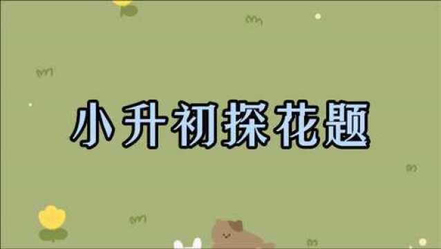 小升初探花题,没听说过吧,名字好听题也难