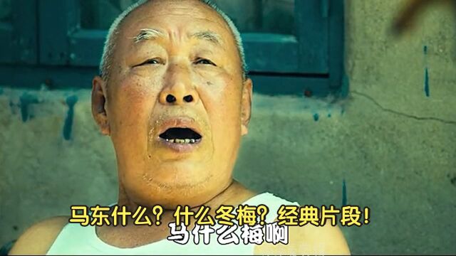 大爷经典片段:马东什么?什么冬梅?