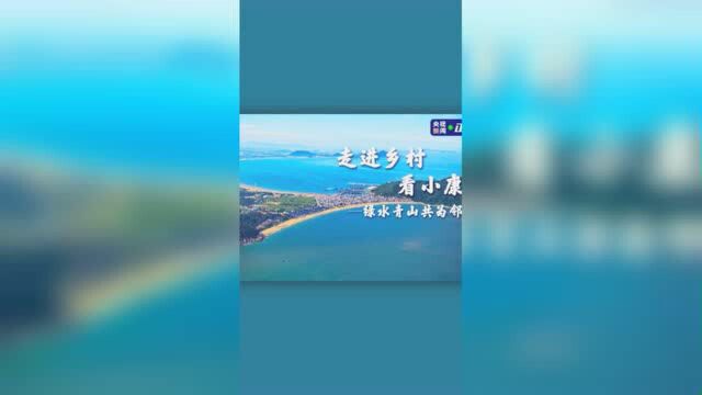 走进乡村看小康 | 绿水青山共为邻