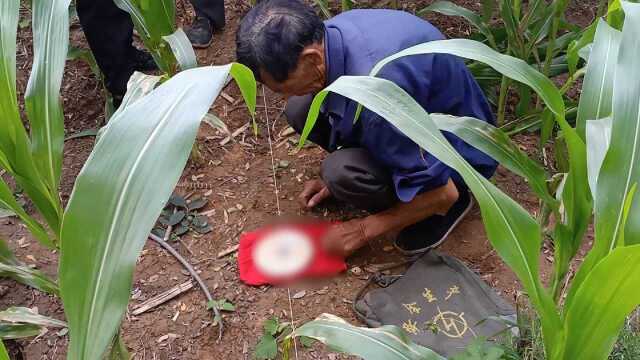 河北农村,实拍风水师在田野地头的工作场景,揭开不为人知的神秘!