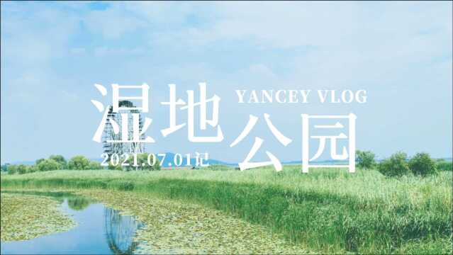 YANCEY寻游记|太湖湿地公园:这个夏天与宫崎骏的童话世界相遇!