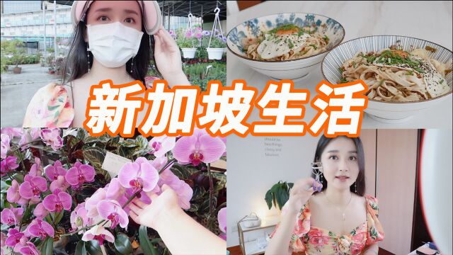 新加坡外食打包折扣|自制重庆小面|美妆好物推荐|一起购物逛花市