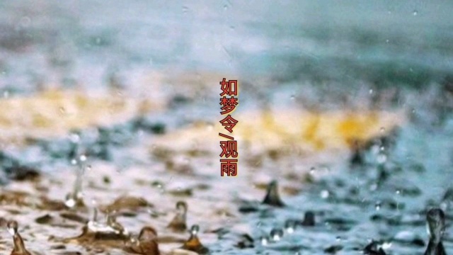 如梦令观雨