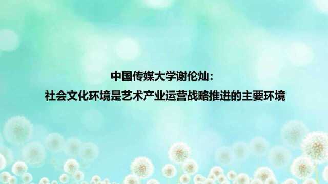 中国传媒大学谢伦灿:社会文化环境是艺术产业运营战略推进的主要环境