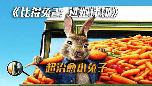 《比得兔2：逃跑计划》：真人版喜剧动画片，超治愈的小兔子！#电影种草指南大赛#