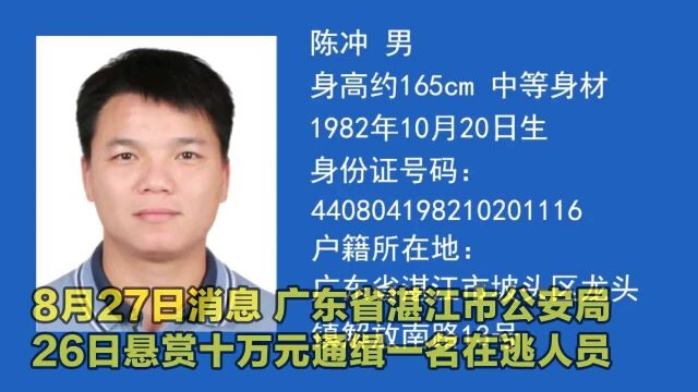 广东湛江一男子涉嫌重大刑事犯罪在逃!警方:抓到他奖励10万元!